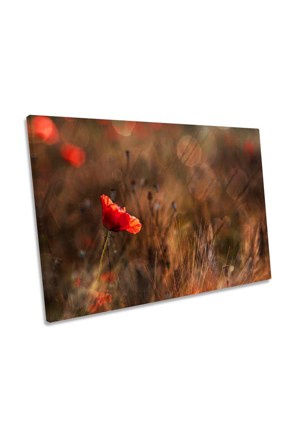 Red Poppy Flower Meadow Canvas Wall Art Picture Print