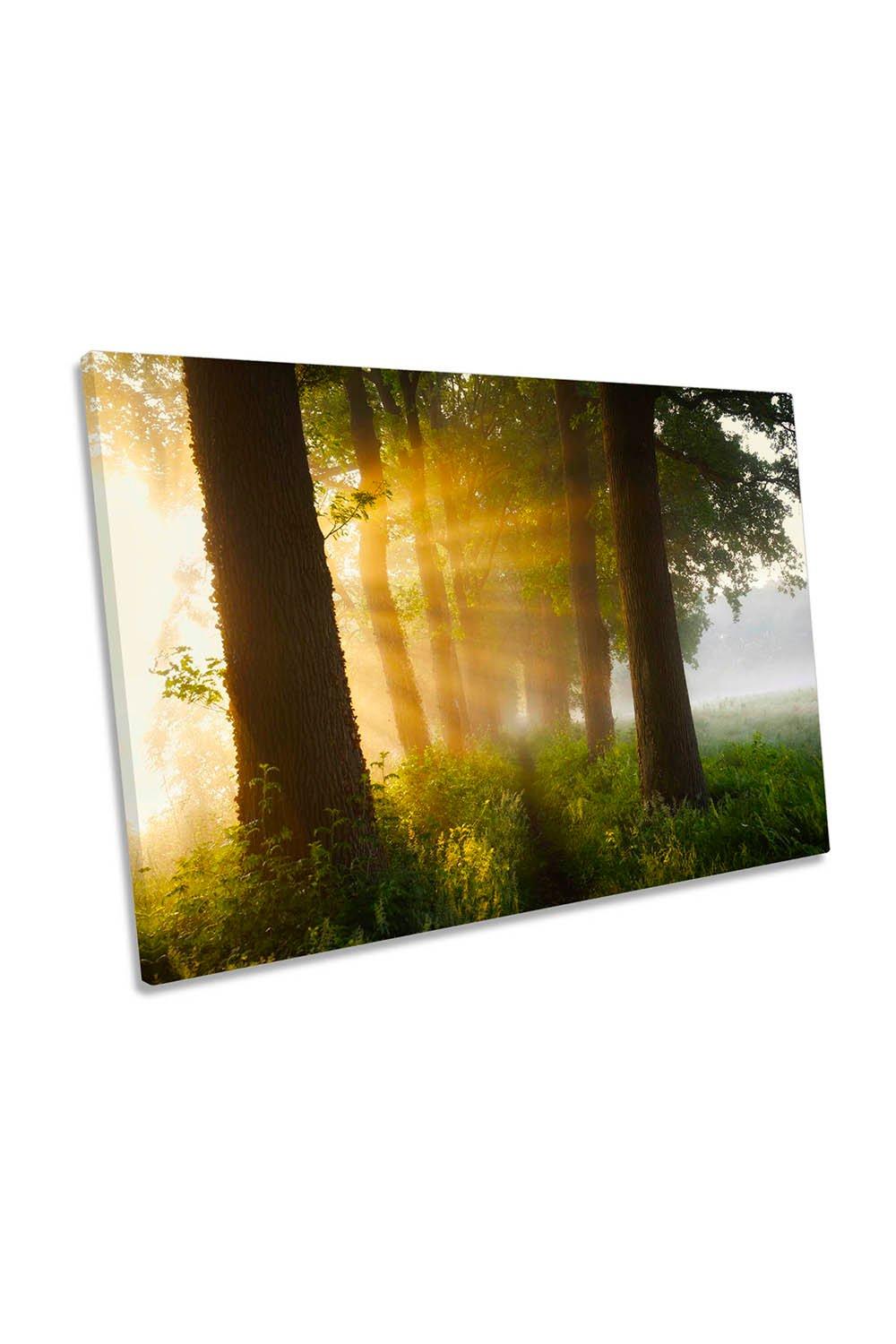 First Day or Summer Sunlight Landscape Canvas Wall Art Picture Print