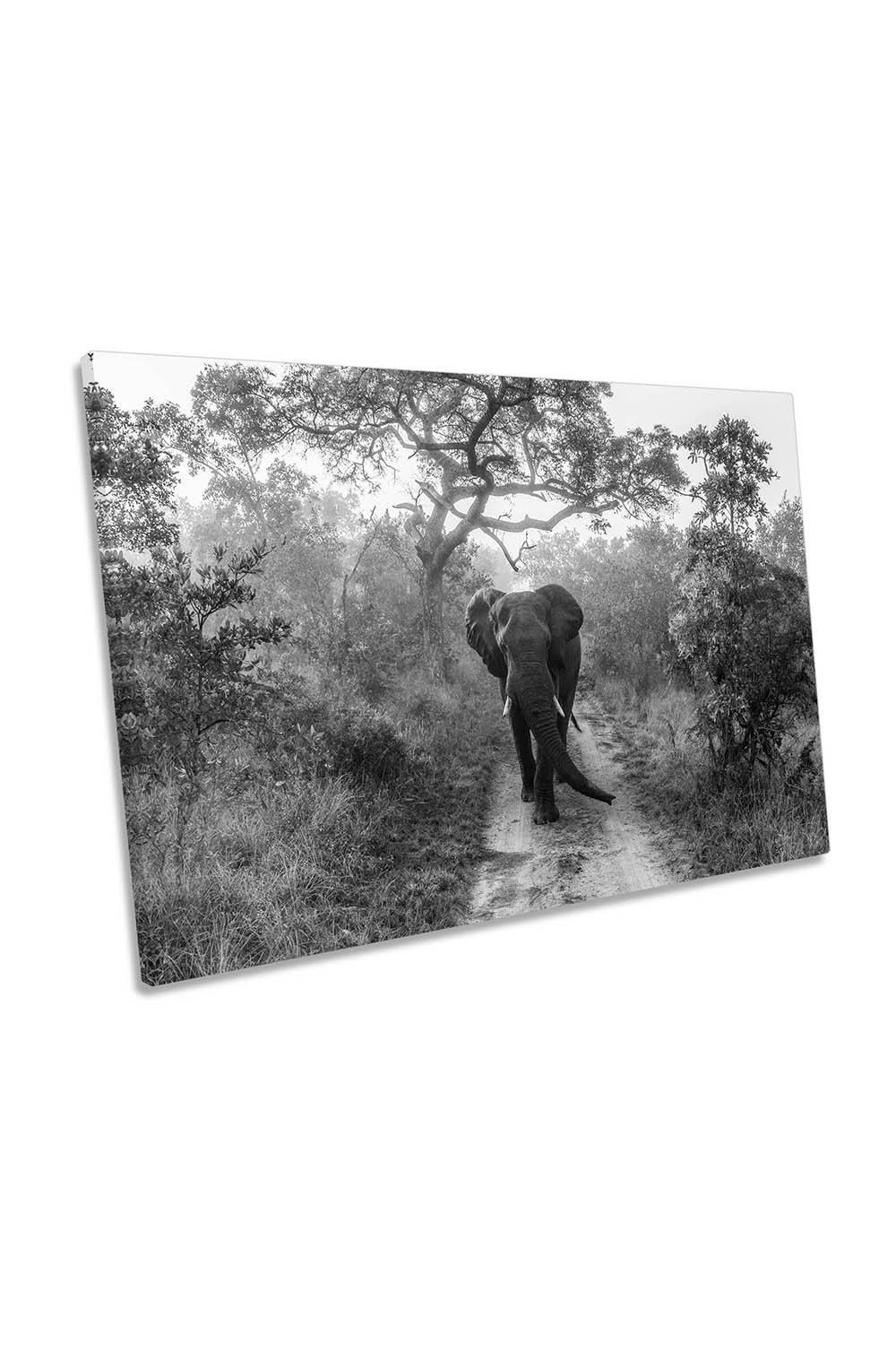 Walking Giant Elephant Canvas Wall Art Picture Print