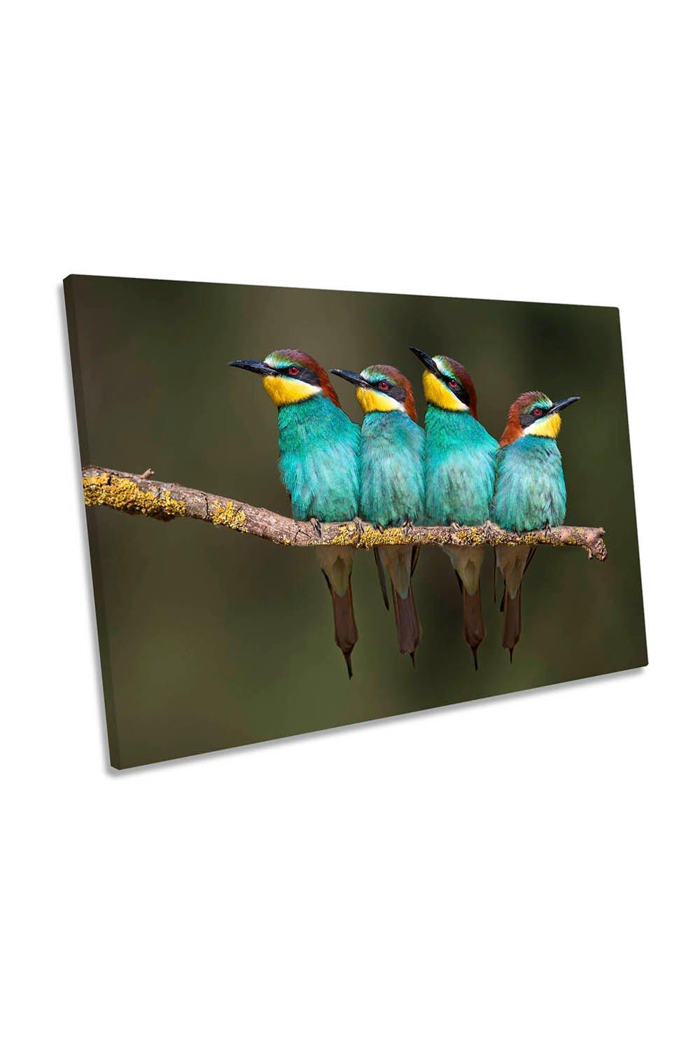Bee-Eaters Resting Birds Nature Canvas Wall Art Picture Print