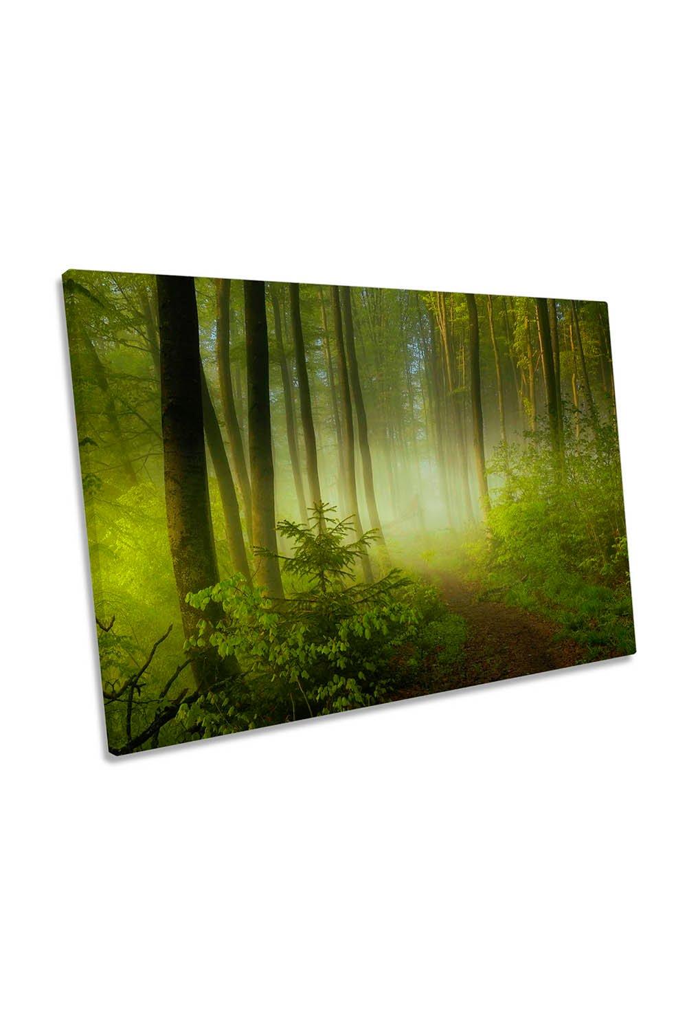 Early Fall Forest Misty Landscape Green Canvas Wall Art Picture Print