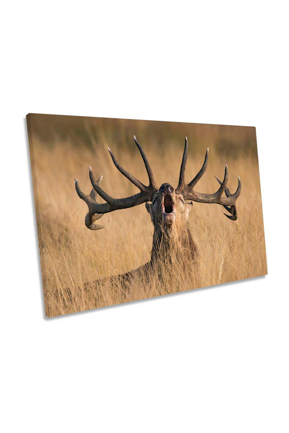 Stag Cry Antlers Deer Wildlife Canvas Wall Art Picture Print