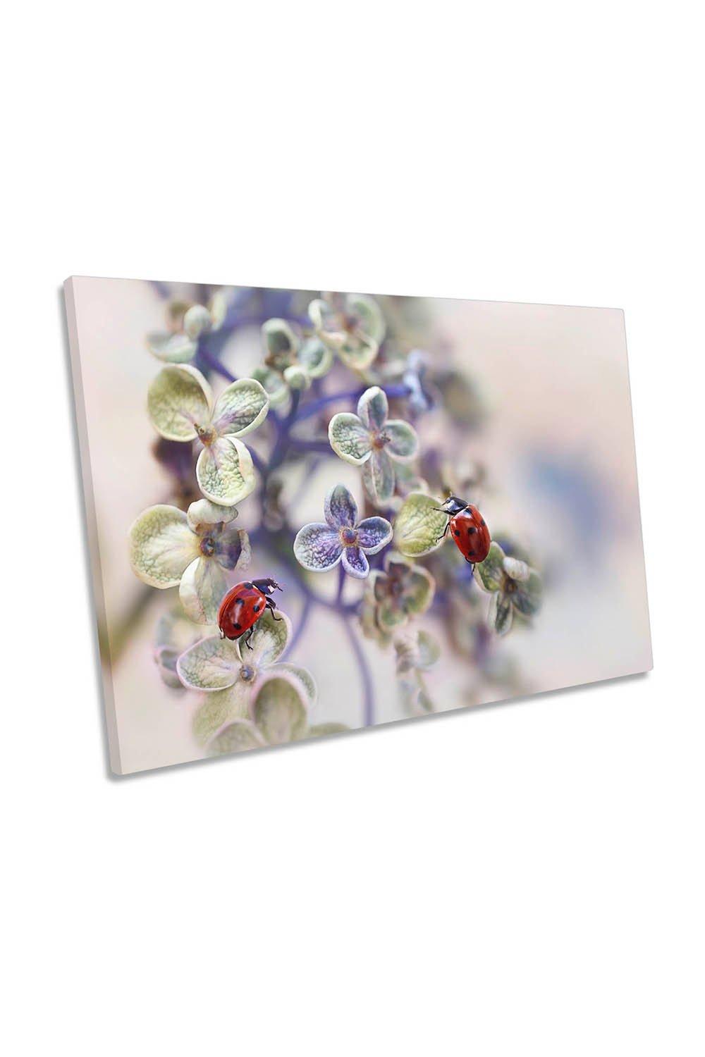 Fragile Ladybird Flowers Floral Canvas Wall Art Picture Print