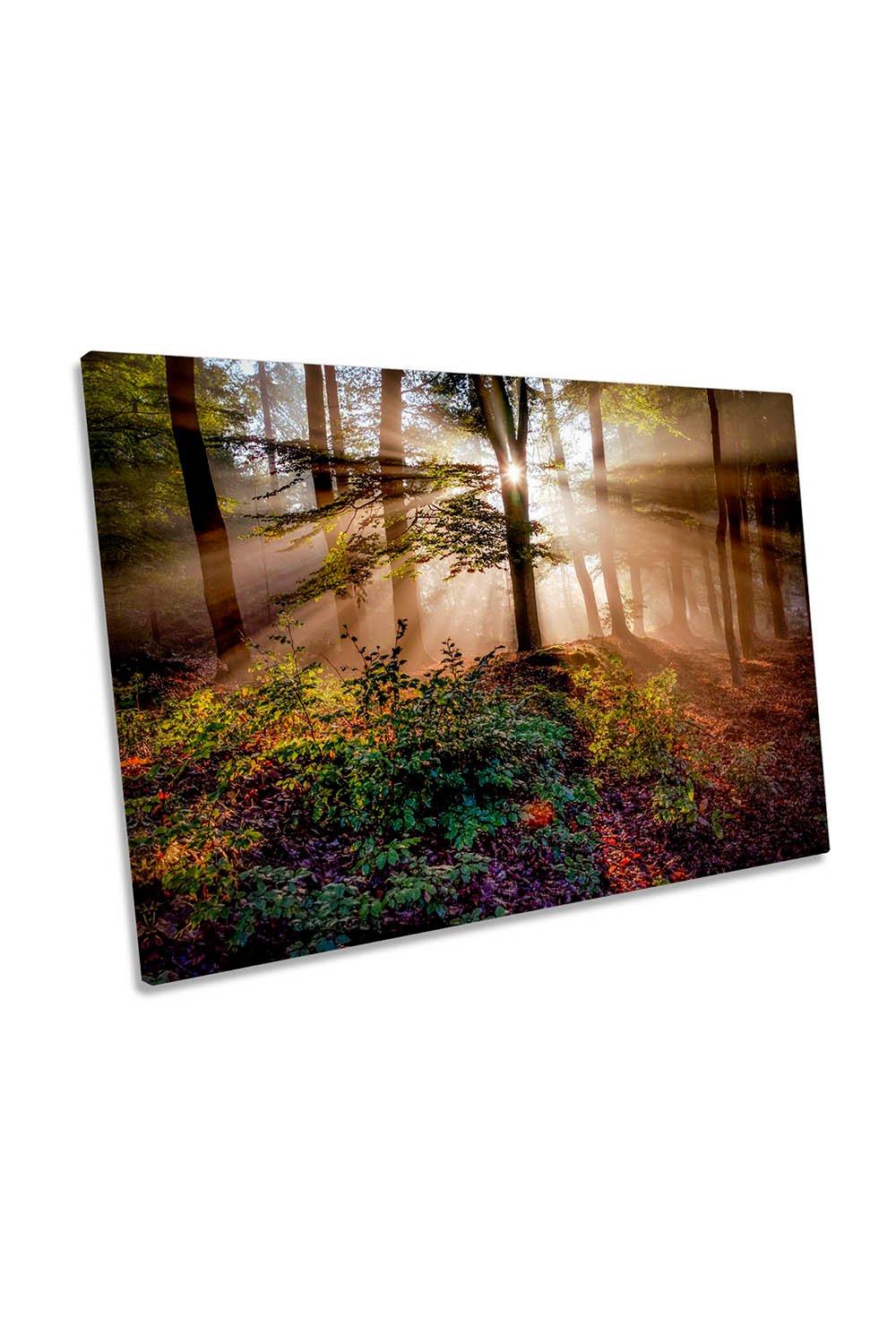 Magical Forest Sun Rays Autumn Canvas Wall Art Picture Print