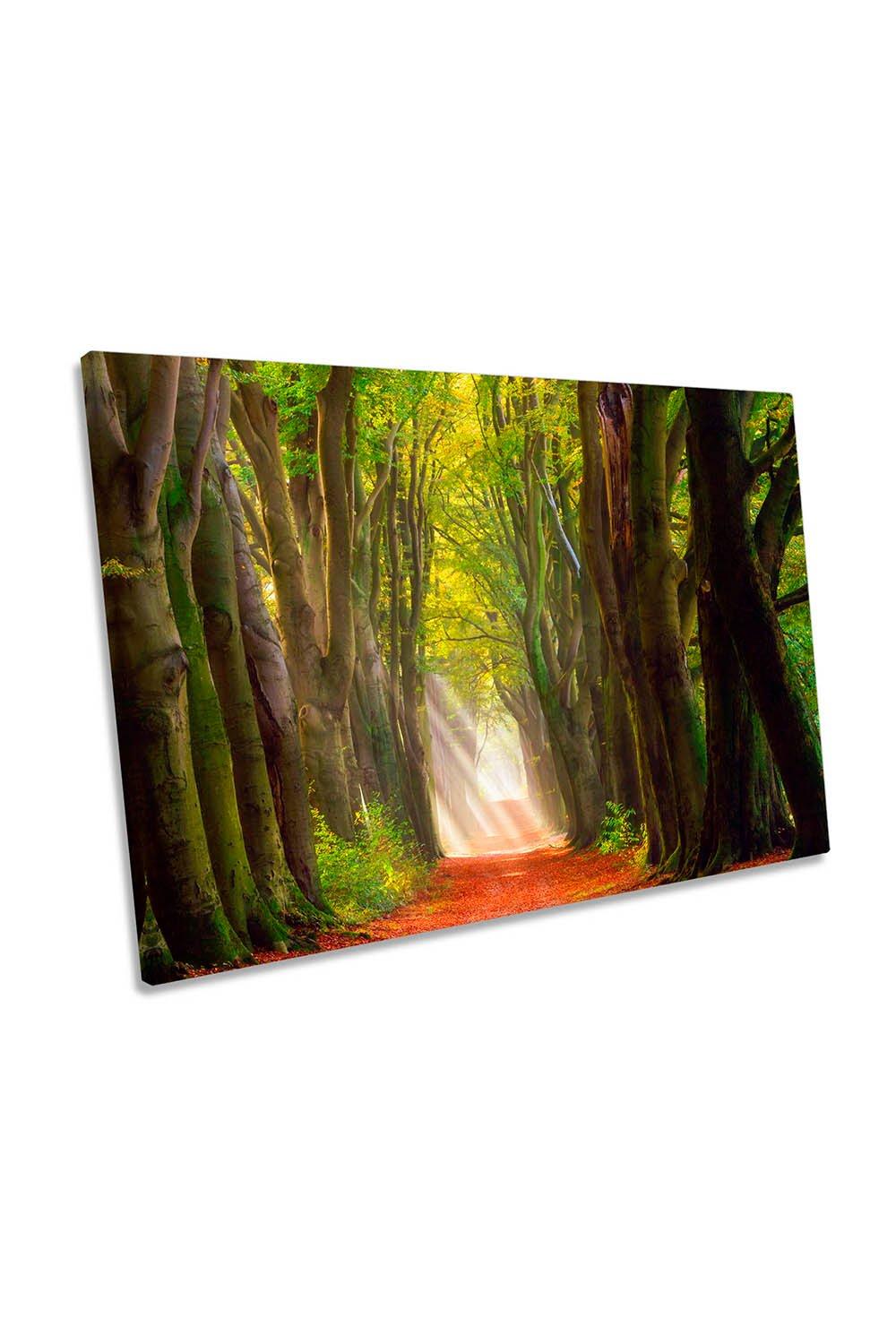A Glorious Day Forest Trees Path Canvas Wall Art Picture Print