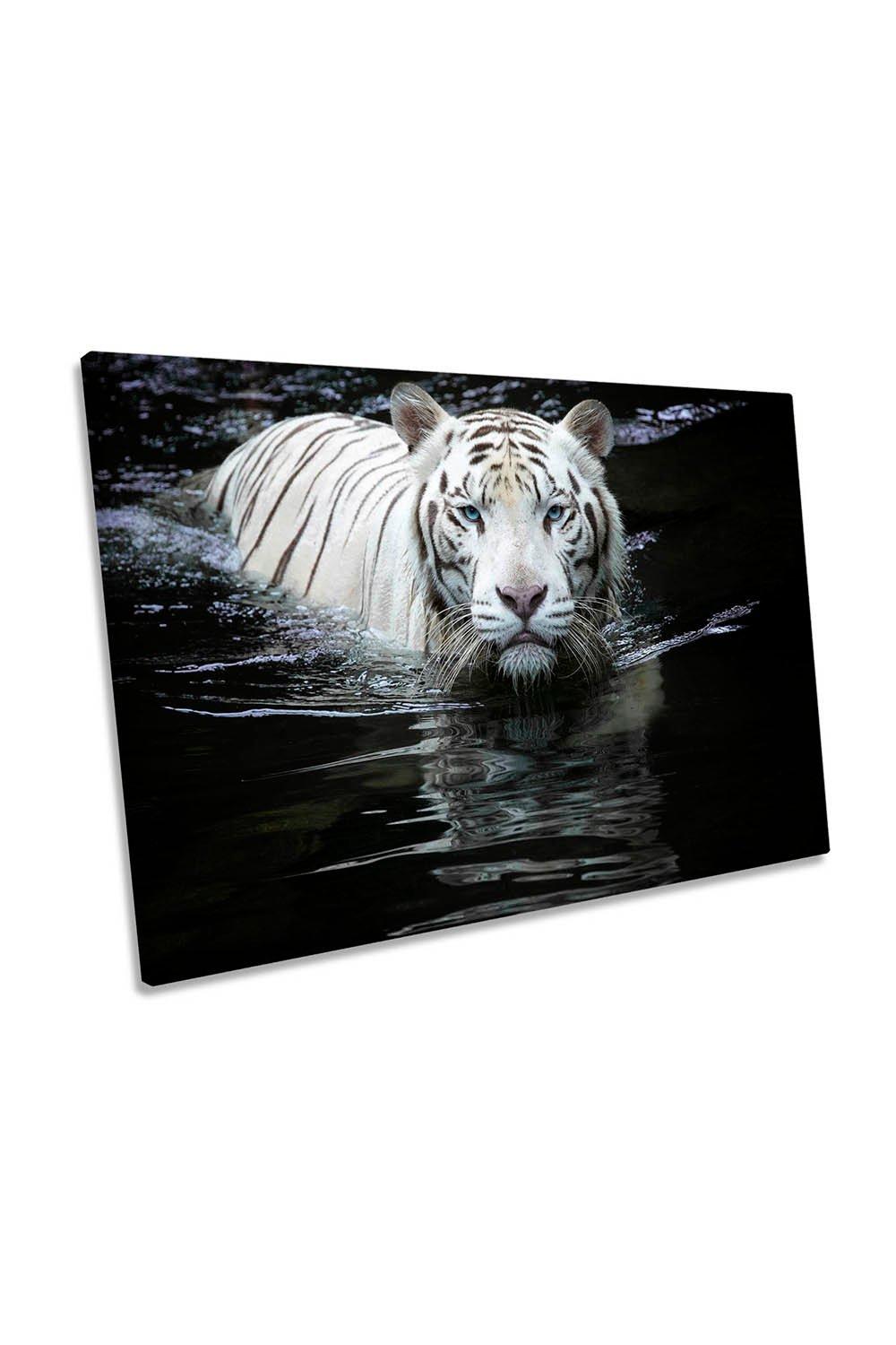 Looking at You White Tiger Canvas Wall Art Picture Print