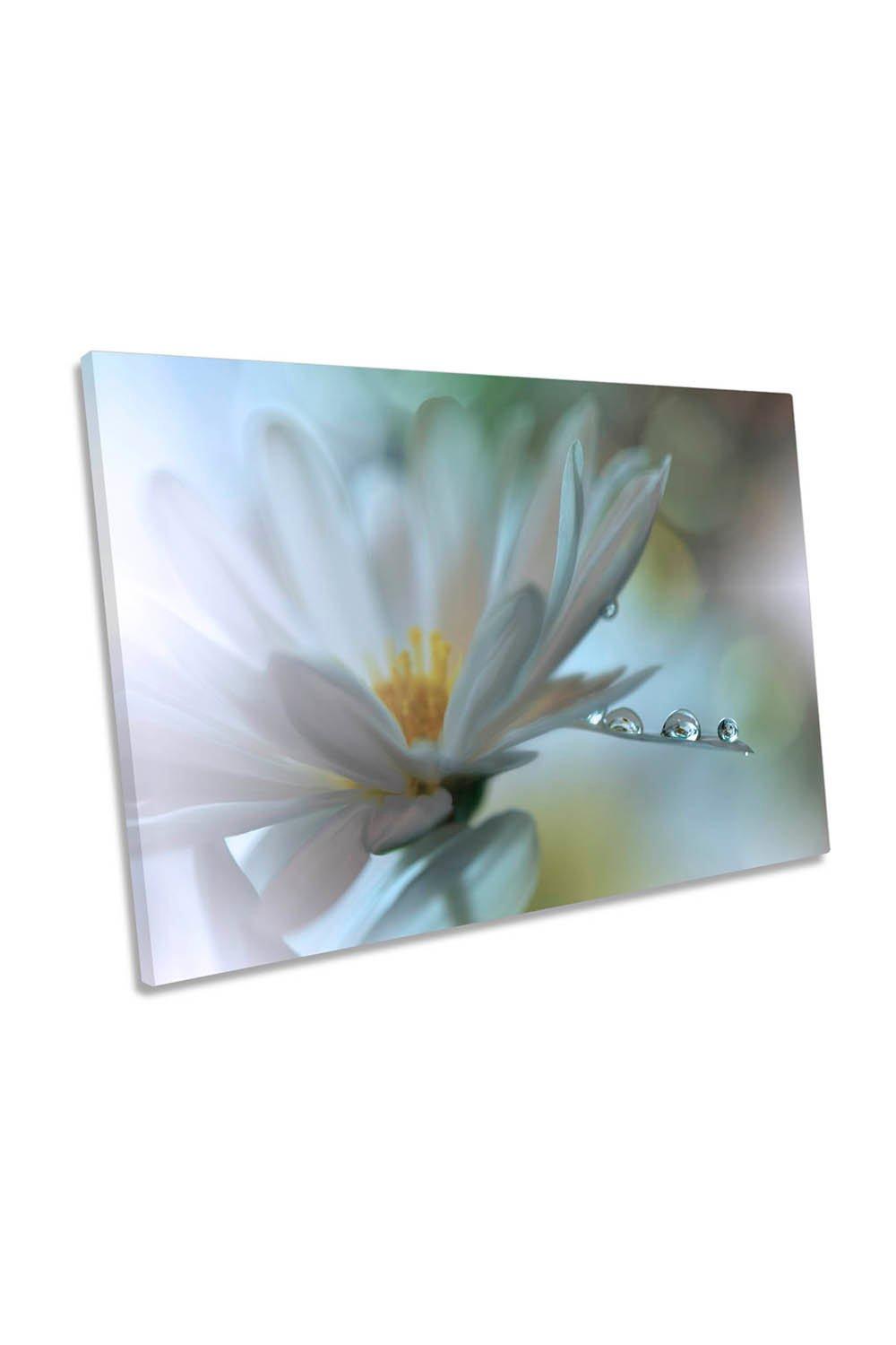Light Touch Flower Petals Floral Canvas Wall Art Picture Print