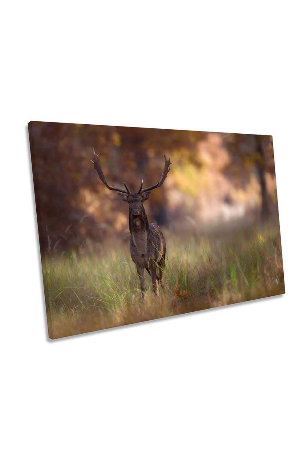 Posing Stag Deer Forest Animal Canvas Wall Art Picture Print