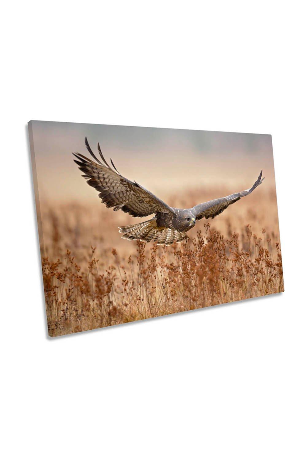 Common Buzzard in Flight Bird Canvas Wall Art Picture Print