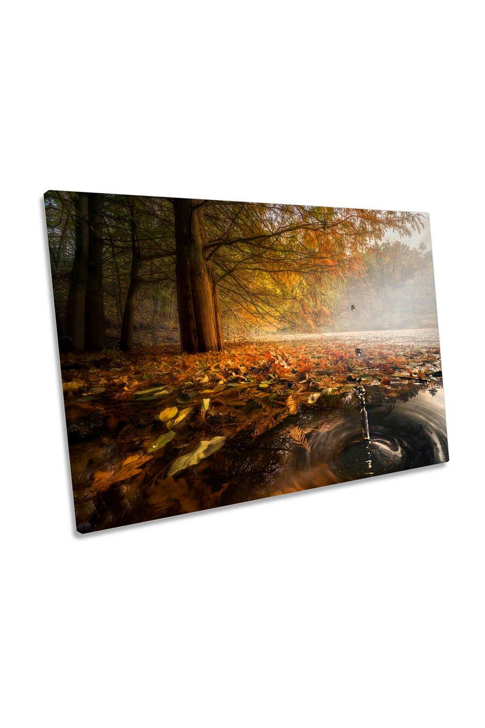 Drops in Autumn Colour Forest Canvas Wall Art Picture Print