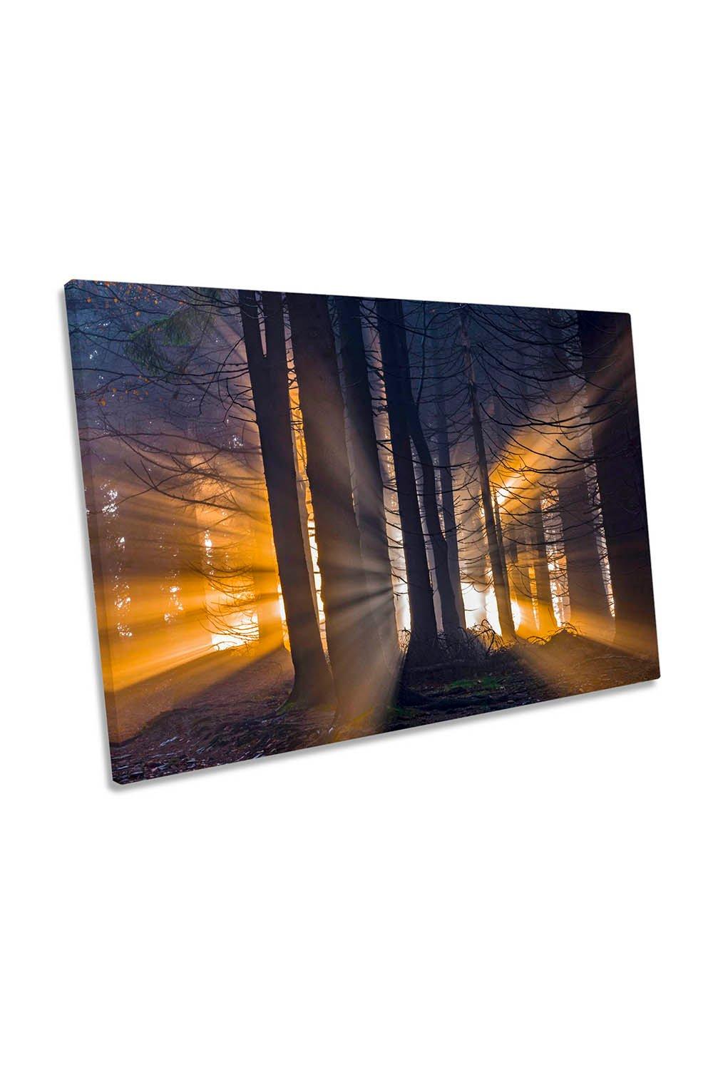 Forest Sunset Rays Orange Landscape Canvas Wall Art Picture Print