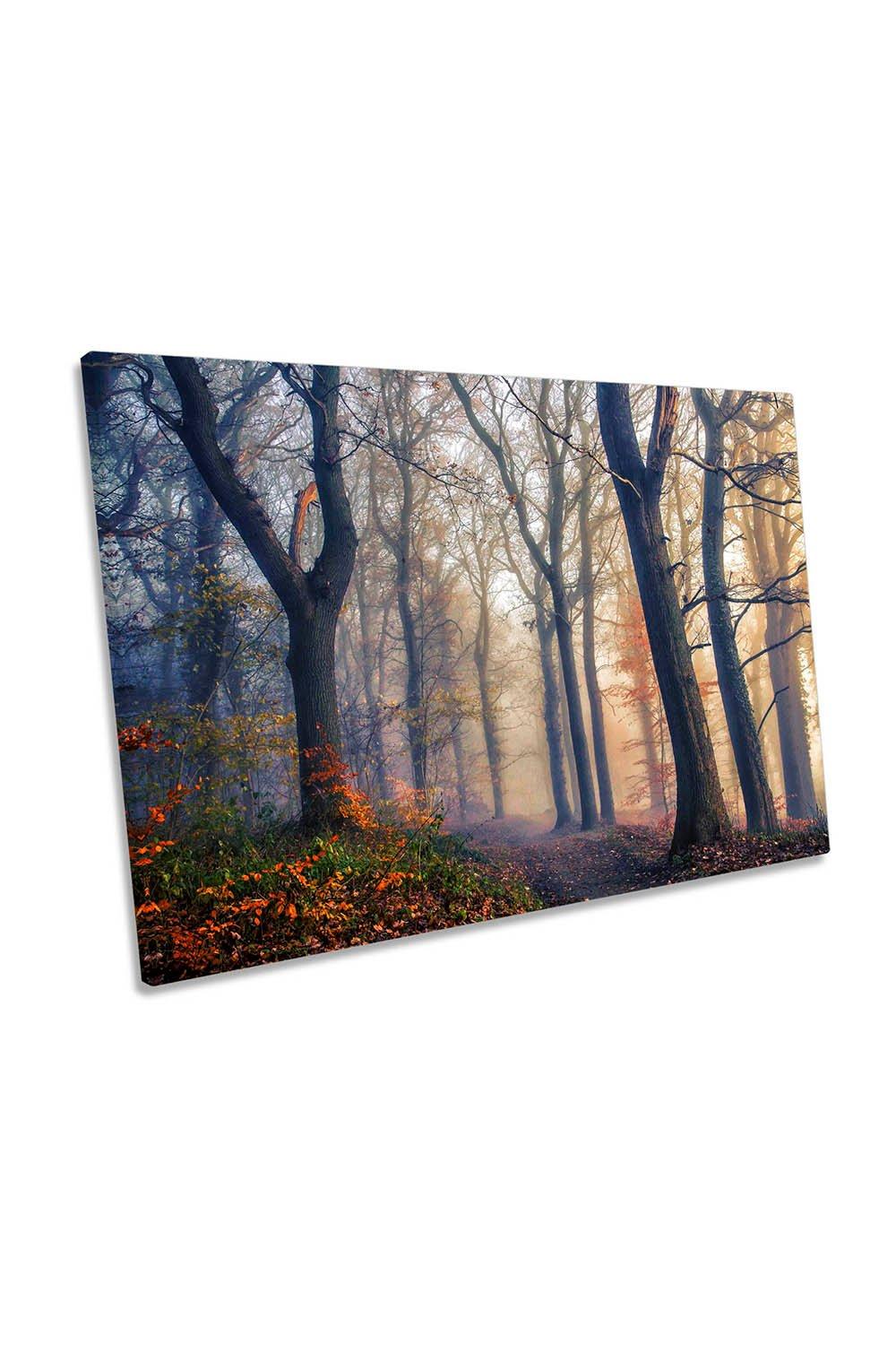 The Forest Paths Woodland Misty Canvas Wall Art Picture Print