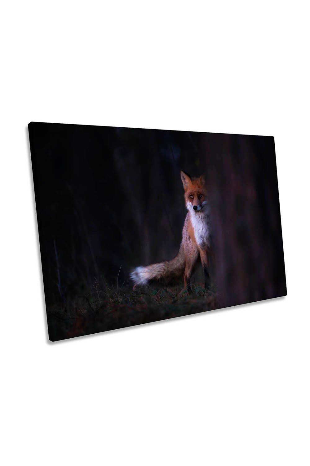 Glances Fox Wildlife Animal Canvas Wall Art Picture Print