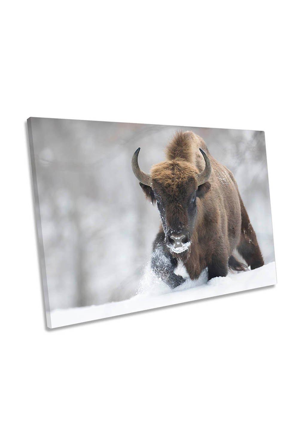 Bison Buffalo Winter Wildlife Canvas Wall Art Picture Print