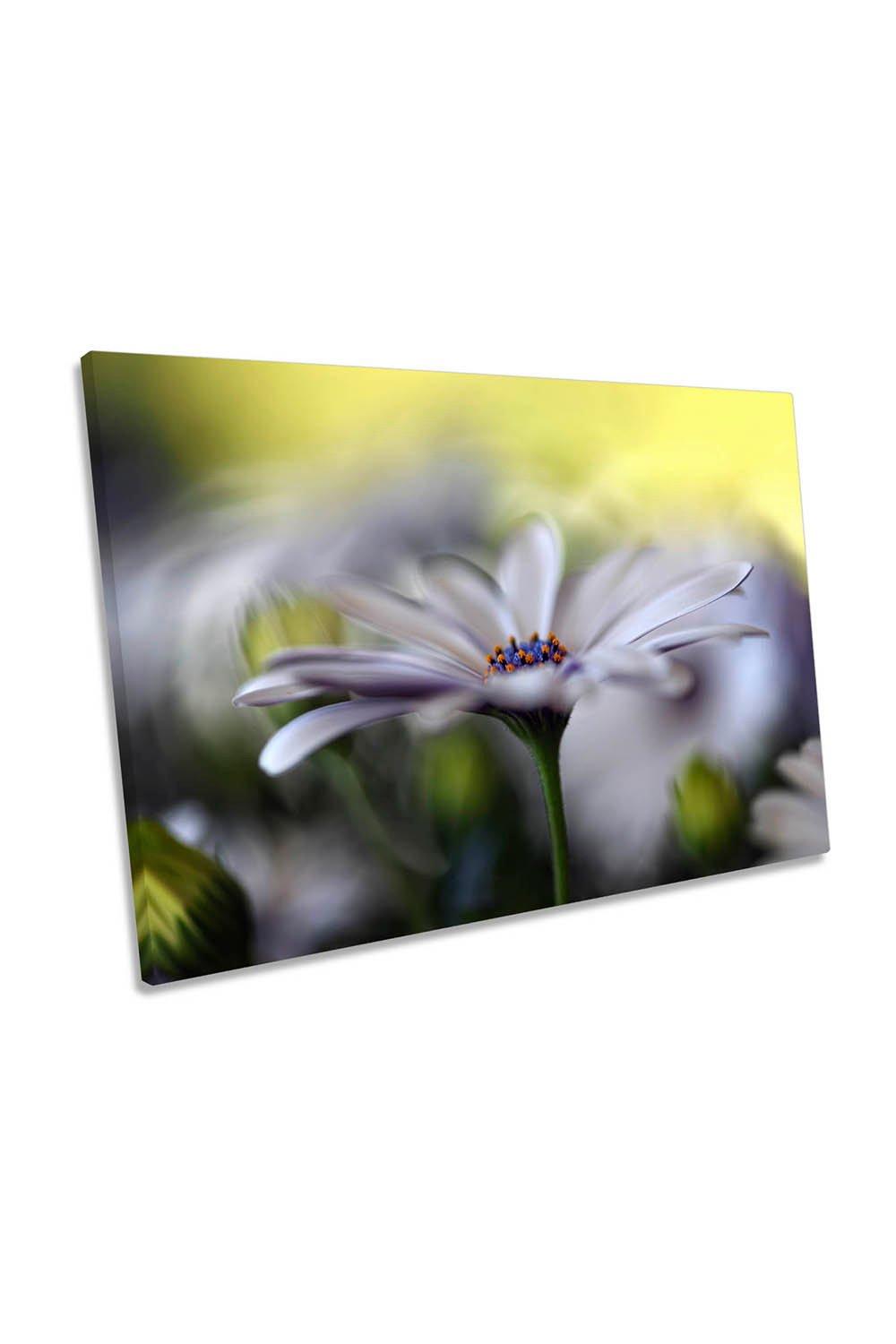 Dreamy Floral White Flower Canvas Wall Art Picture Print