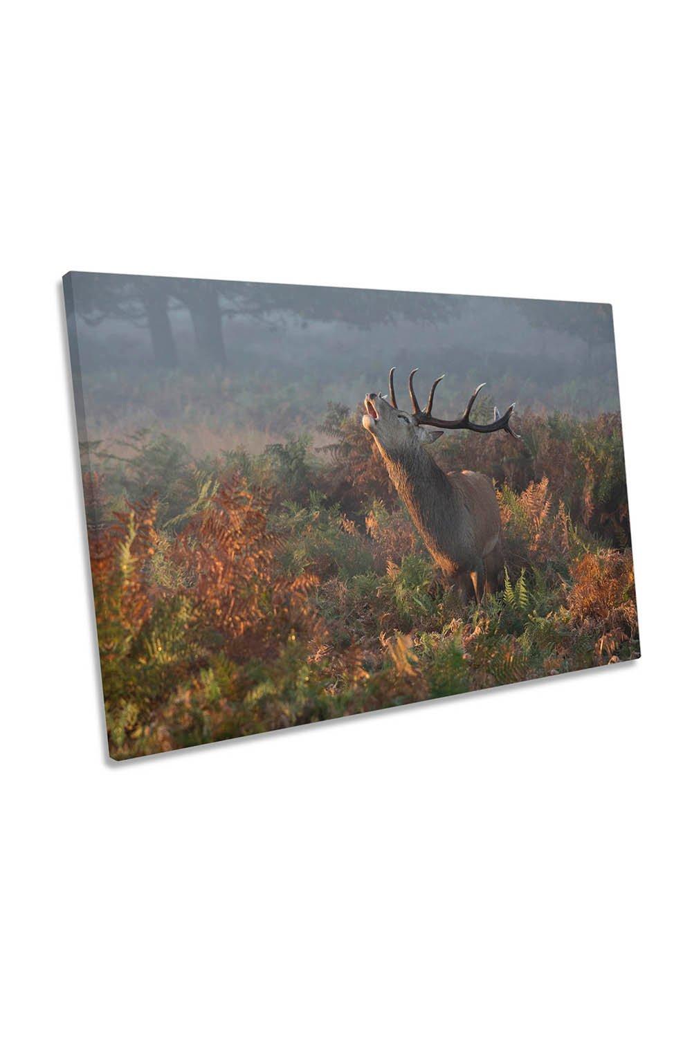 Bellowing Stag Deer Antlers Canvas Wall Art Picture Print