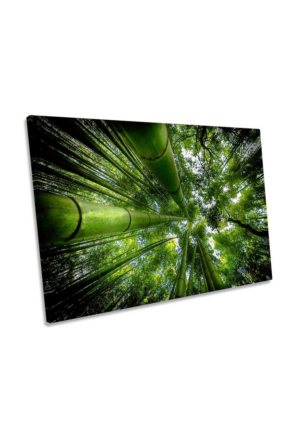 Bamboo Tree Tops Floral Green Canvas Wall Art Picture Print
