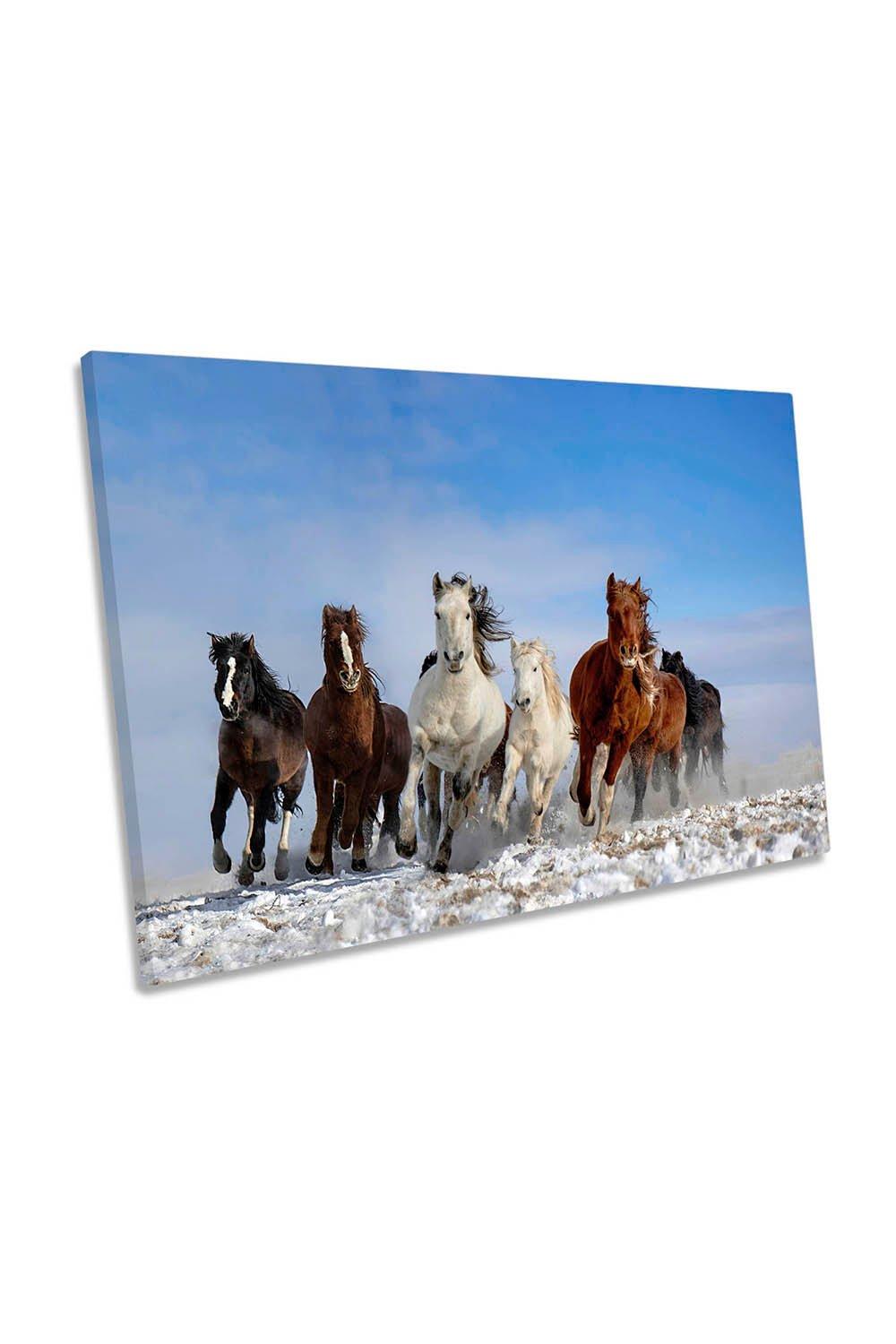 Mongolia Horses Gallop Canvas Wall Art Picture Print