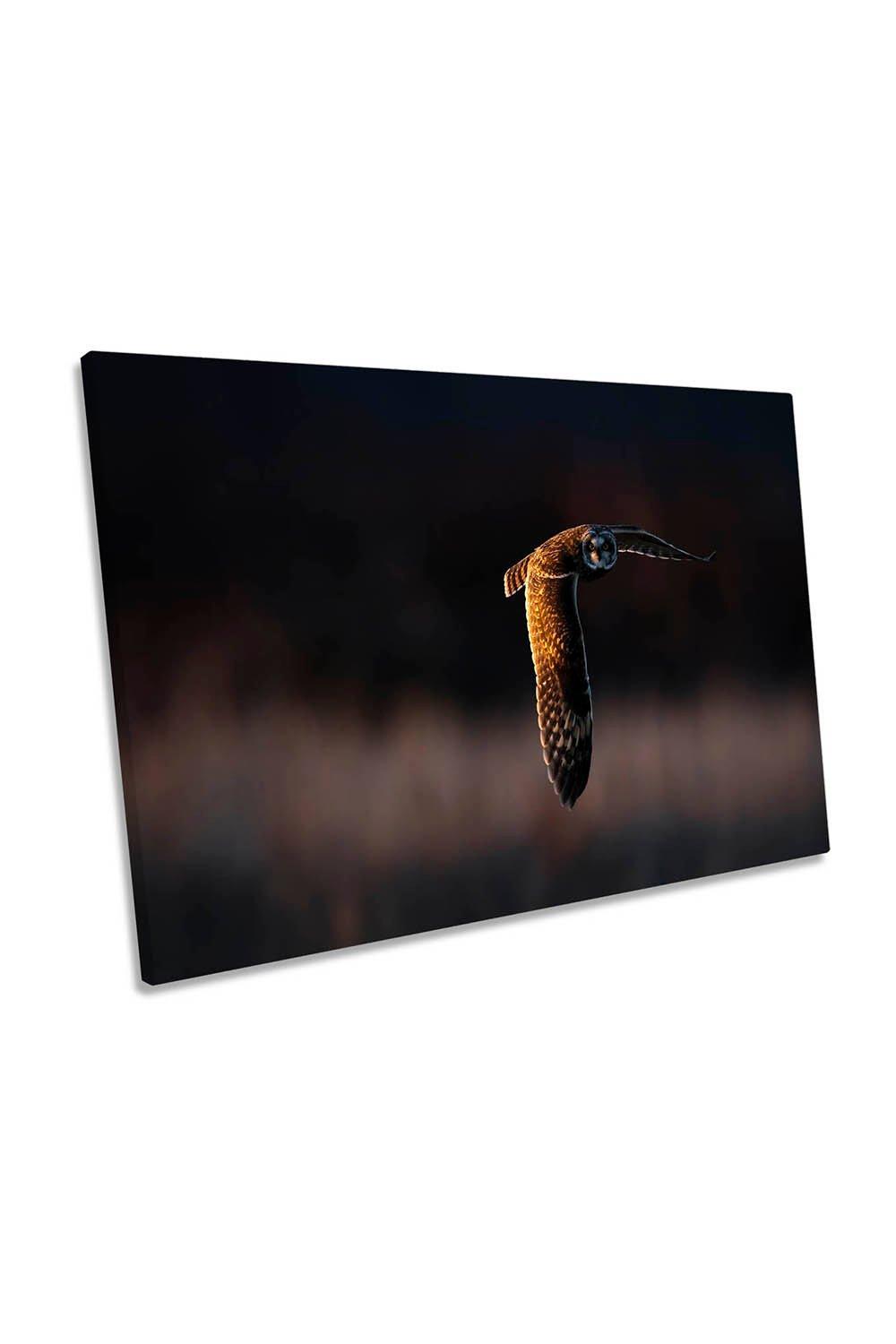 Facing Each Other Owl Bird Wildlife Canvas Wall Art Picture Print