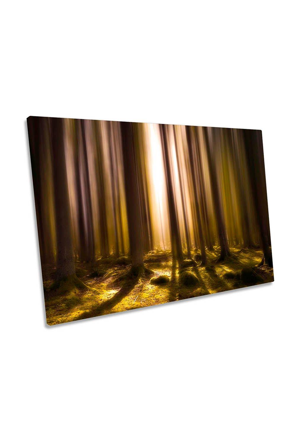 Breathe of Life Mysterious Forest Canvas Wall Art Picture Print