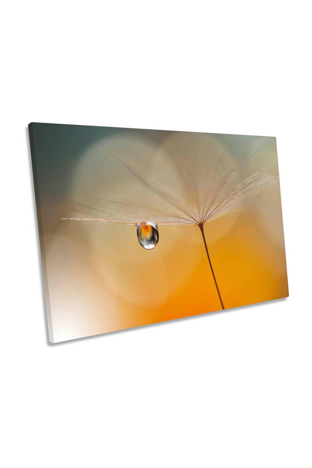 Dandelion Feather Water Drop Floral Canvas Wall Art Picture Print