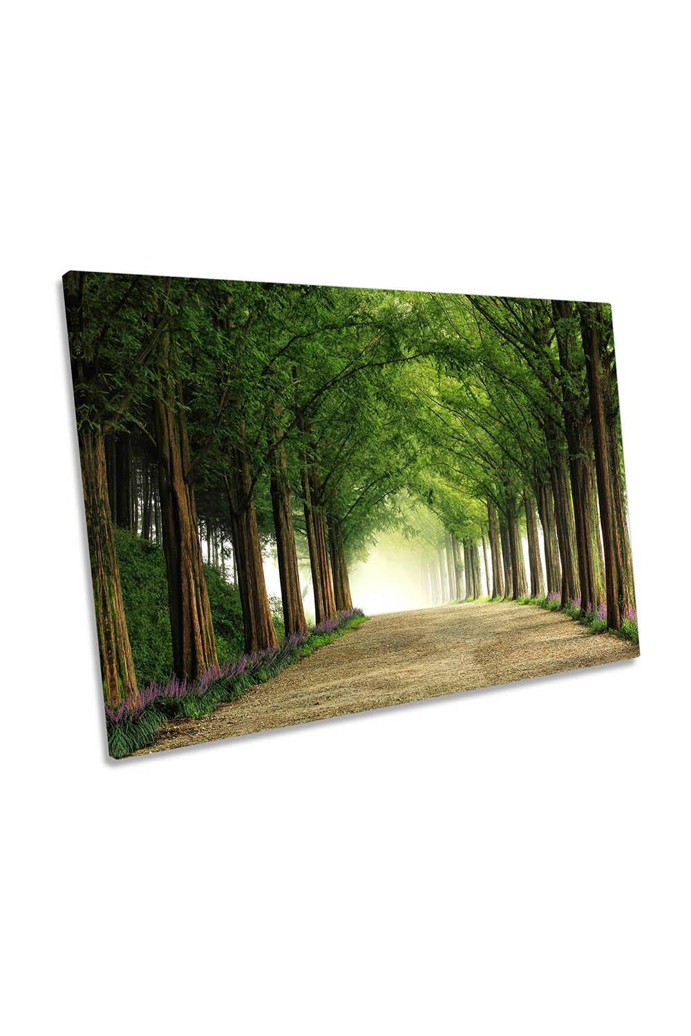 Metasequoia Road Green Trees Pathway Canvas Wall Art Picture Print