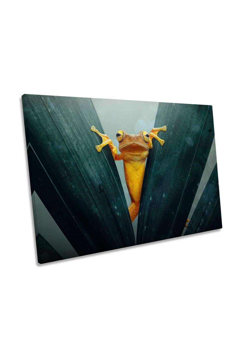 Orange Peeking Frog Canvas Wall Art Picture Print