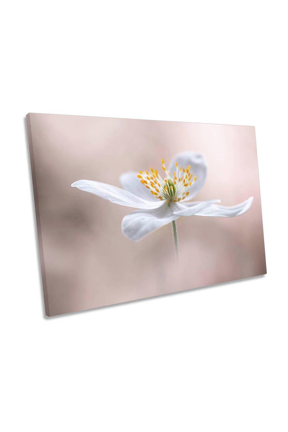 Anemone Nemorosa White Flower Canvas Wall Art Picture Print