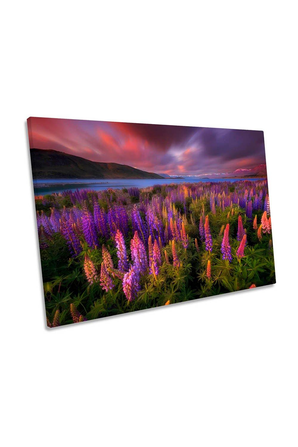 Springtime Rush Lupines Flowers New Zealand Canvas Wall Art Picture Print