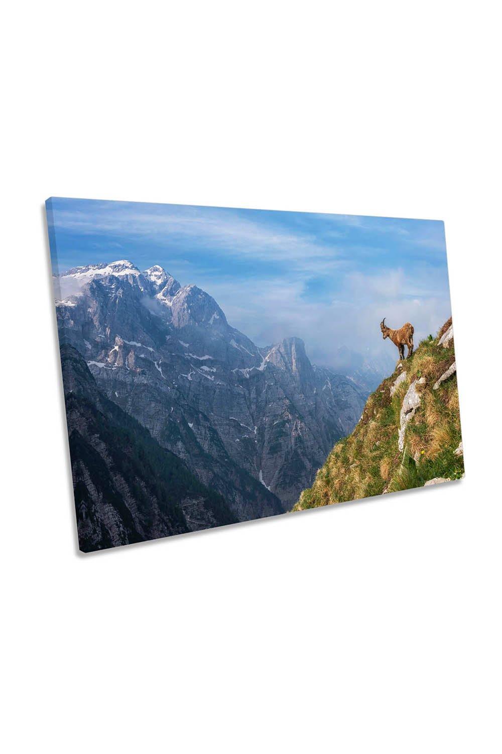 Alpine Ibex in the Mountains Goat Canvas Wall Art Picture Print