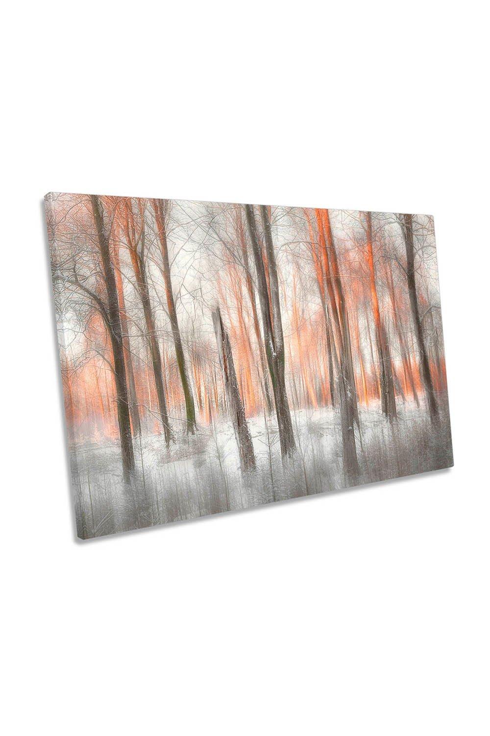 Evening Light Forest Abstract Canvas Wall Art Picture Print