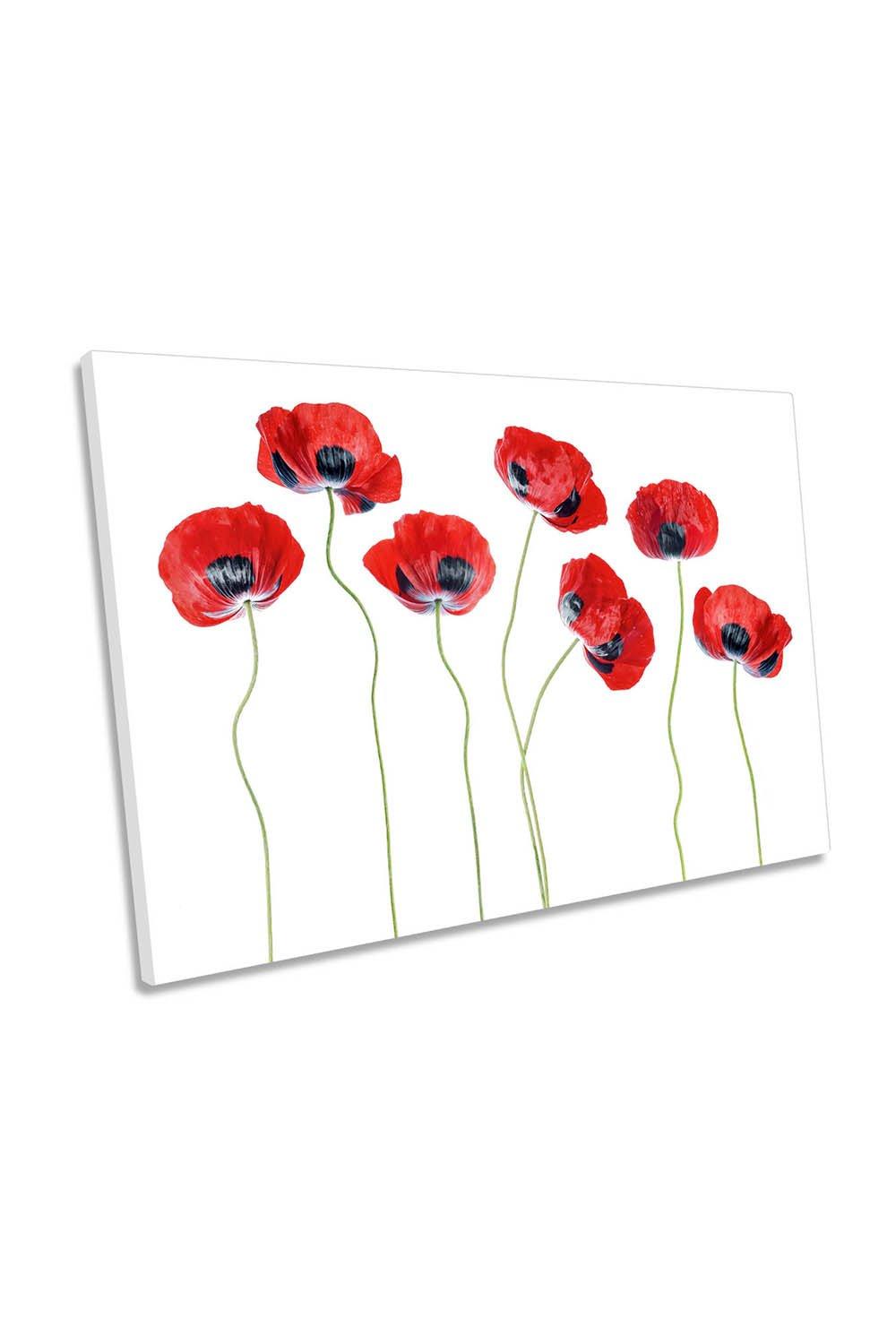 Ladybird Red Poppy Flowers Canvas Wall Art Picture Print