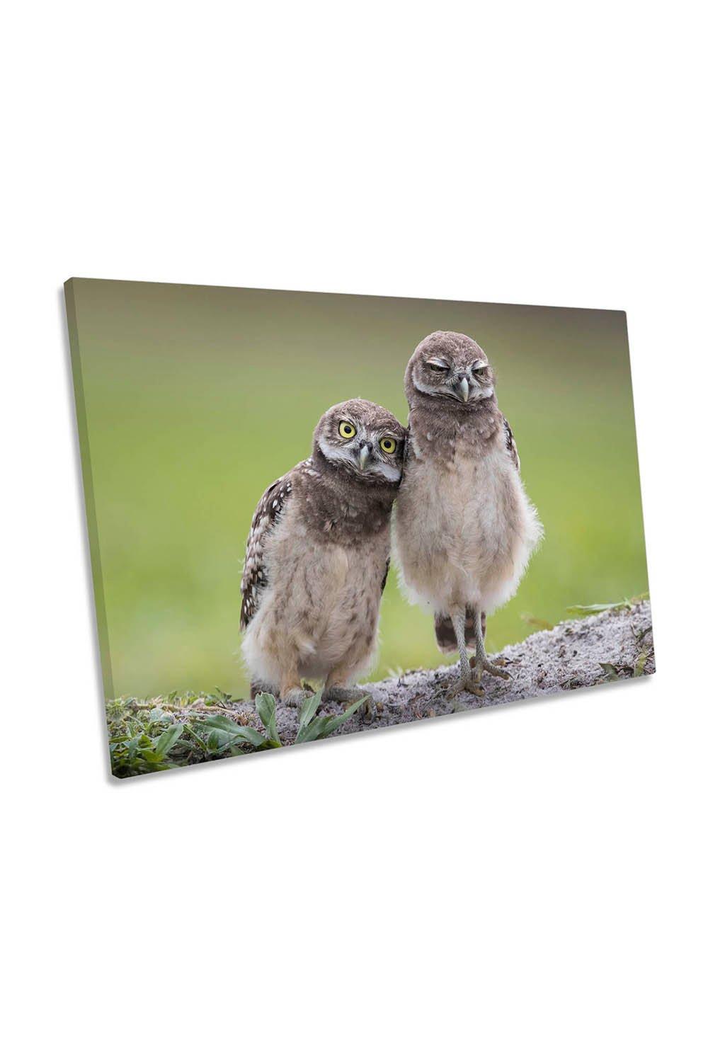 Owl Friends Cute Friendship Birds Canvas Wall Art Picture Print