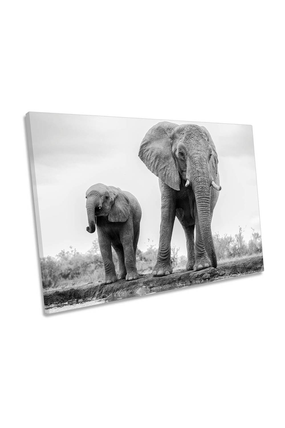 Elephant Duo Mother Baby Family Canvas Wall Art Picture Print