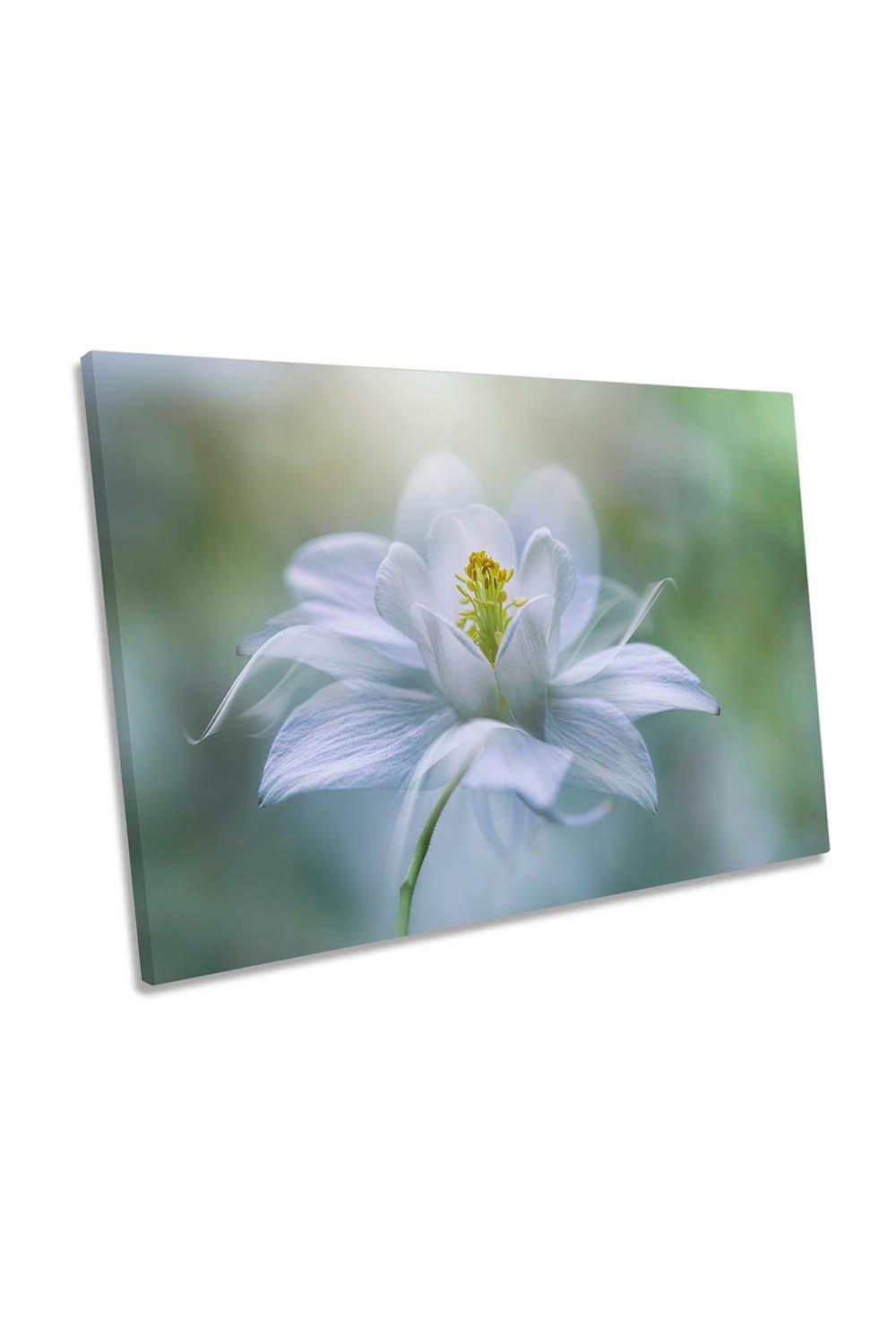 Purity White Flower Floral Canvas Wall Art Picture Print