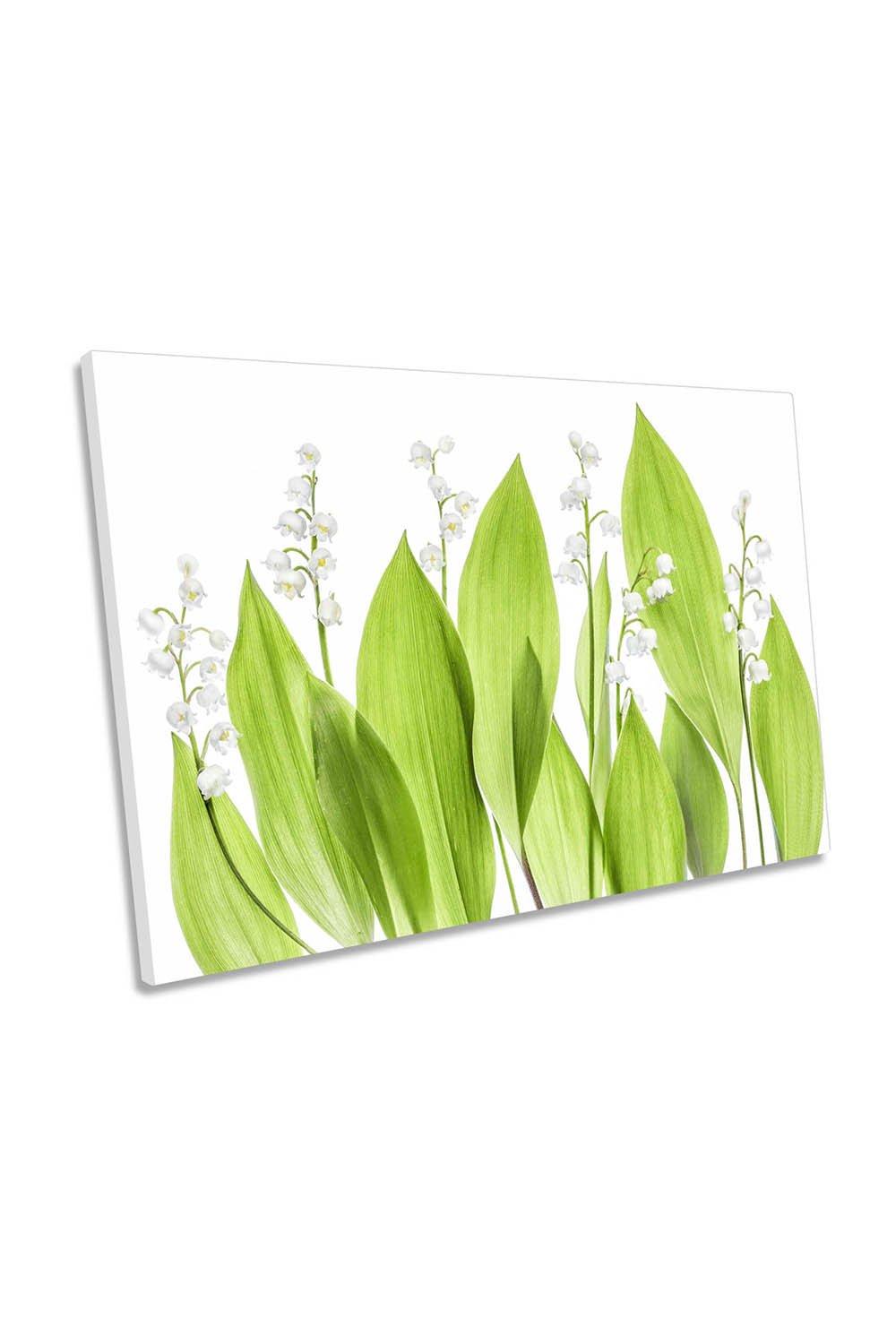 Lily of the Valley Green Floral Canvas Wall Art Picture Print