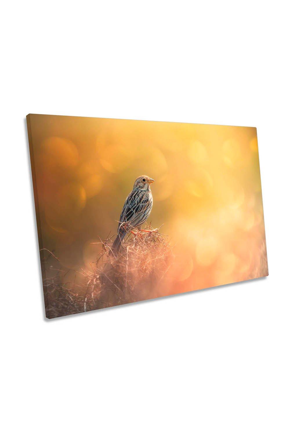 Lost in Bokeh Wildlife Bird Yellow Canvas Wall Art Picture Print