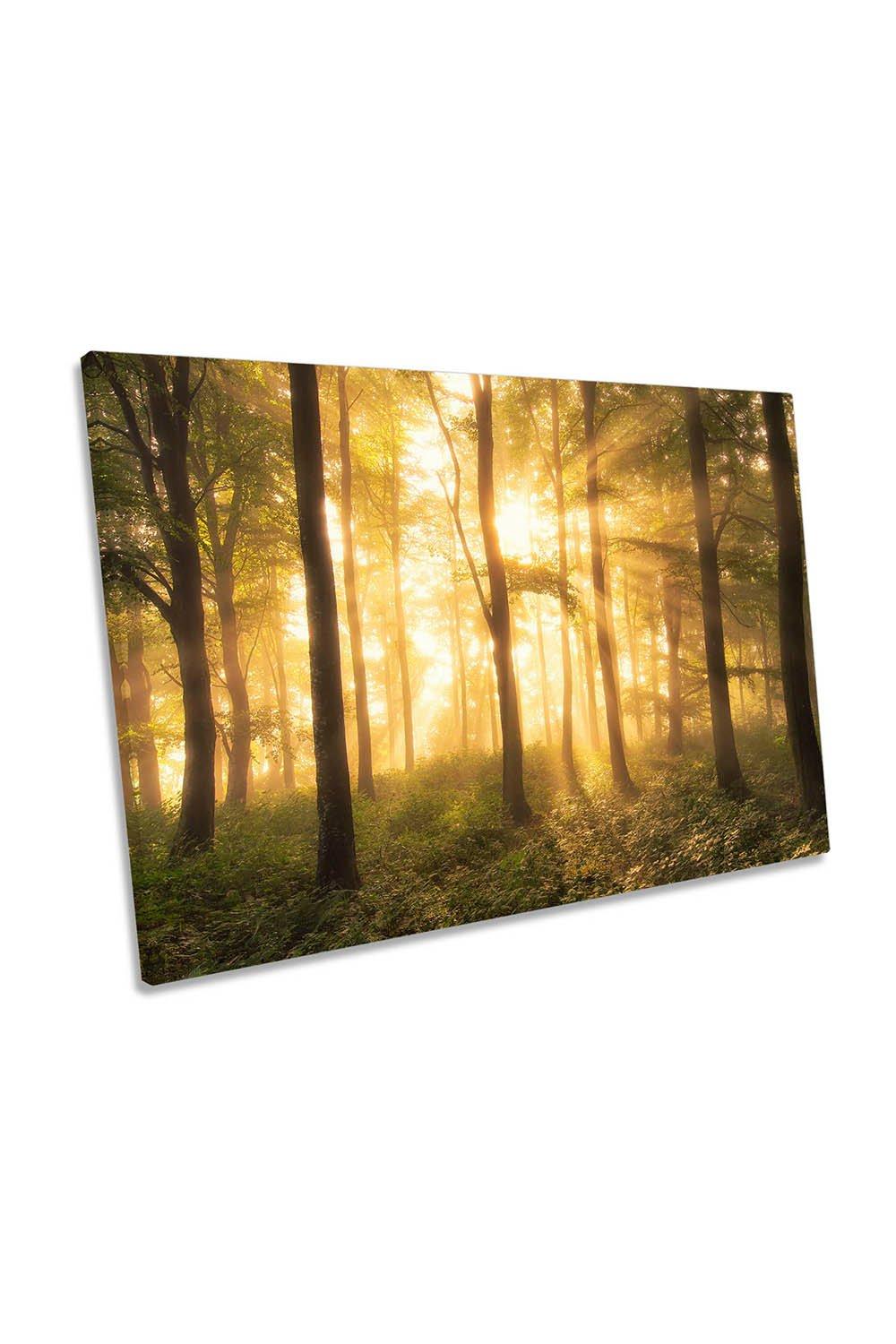 Forest Yellow Sunset Landscape Canvas Wall Art Picture Print