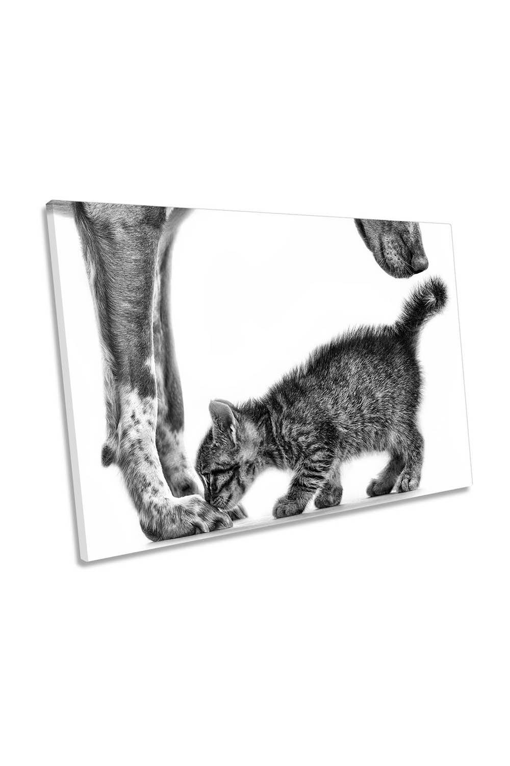 Smell Me Cat Dog Friends Family Canvas Wall Art Picture Print