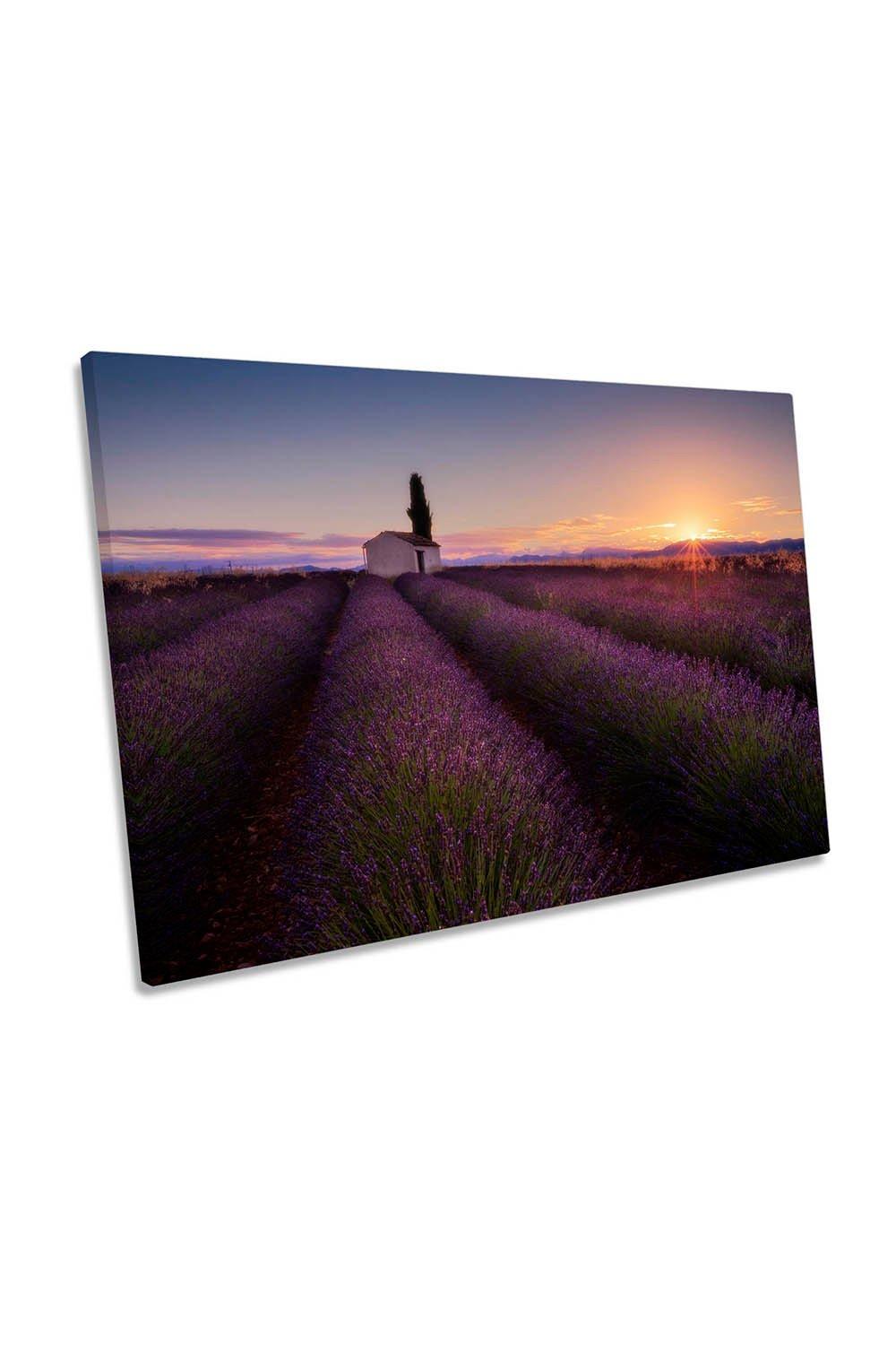 Provence Lavender France Farmhouse Canvas Wall Art Picture Print