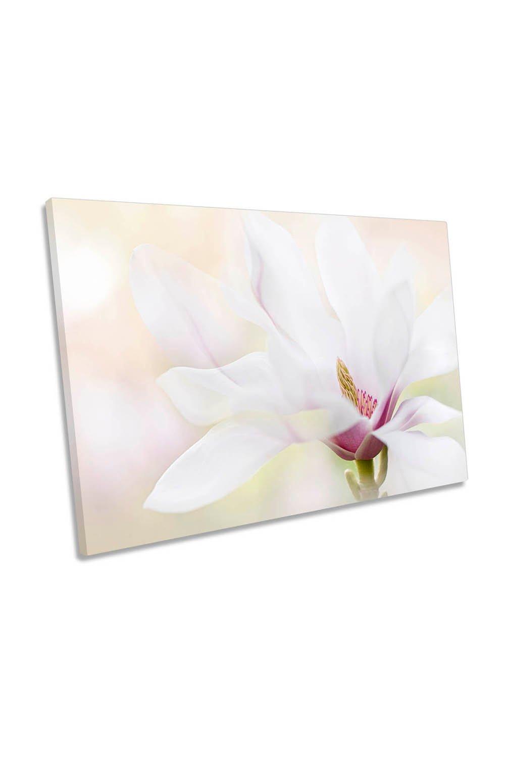 Purity White Floral Magnolia Flower Canvas Wall Art Picture Print