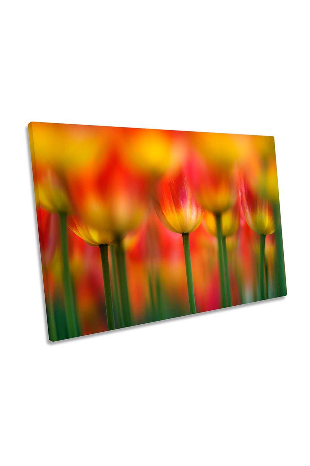 Side by Side Red and Yellow Tulip Flowers Canvas Wall Art Picture Print