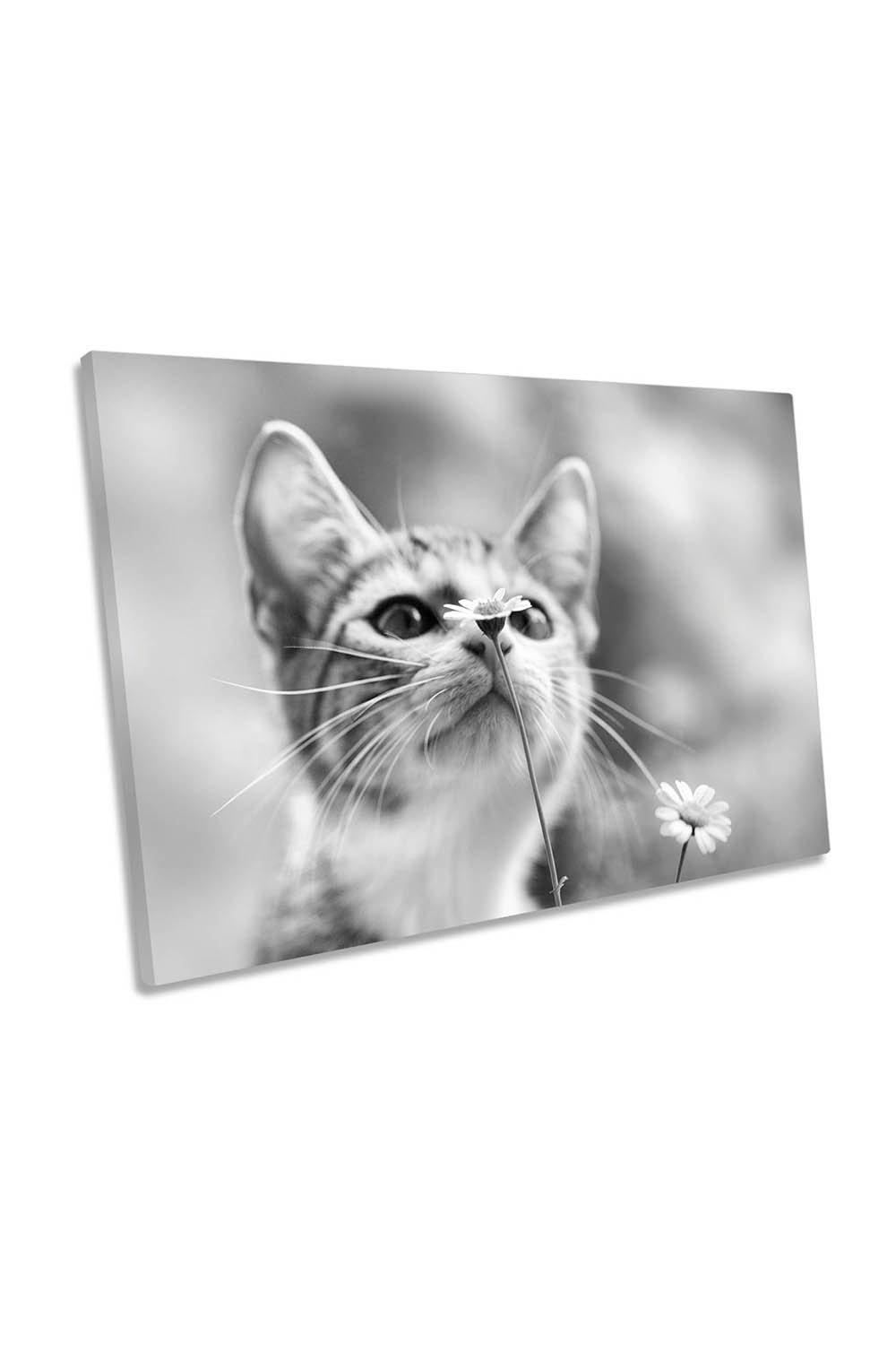 Curious Cate Kitten Flower Canvas Wall Art Picture Print