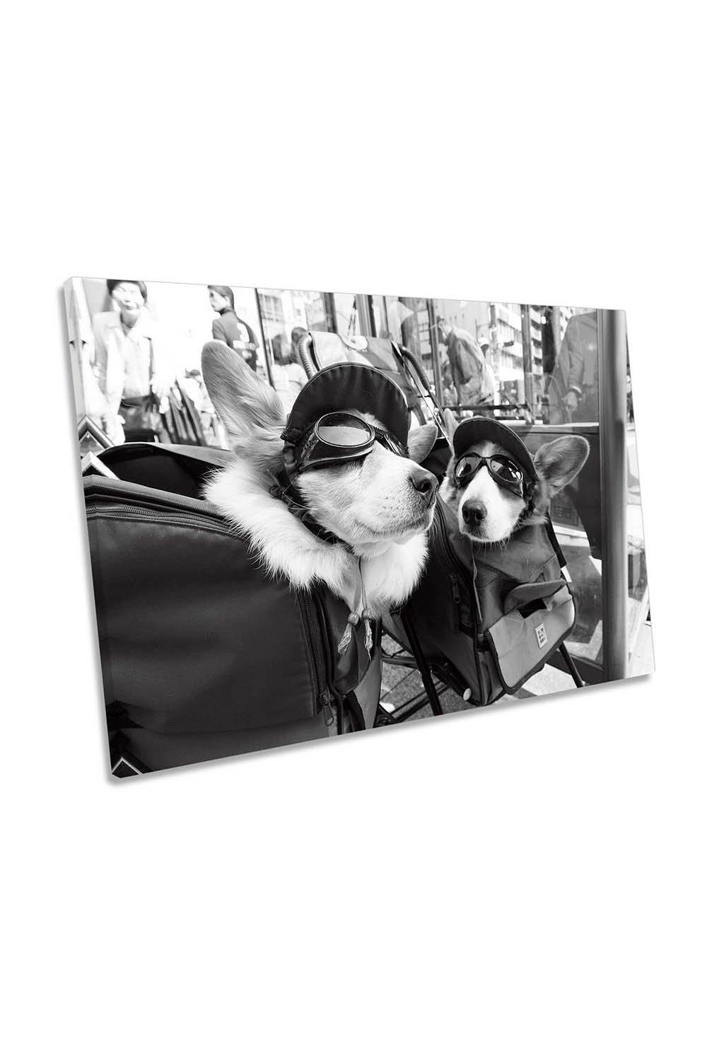 Conversation of the Corgi Dogs Canvas Wall Art Picture Print
