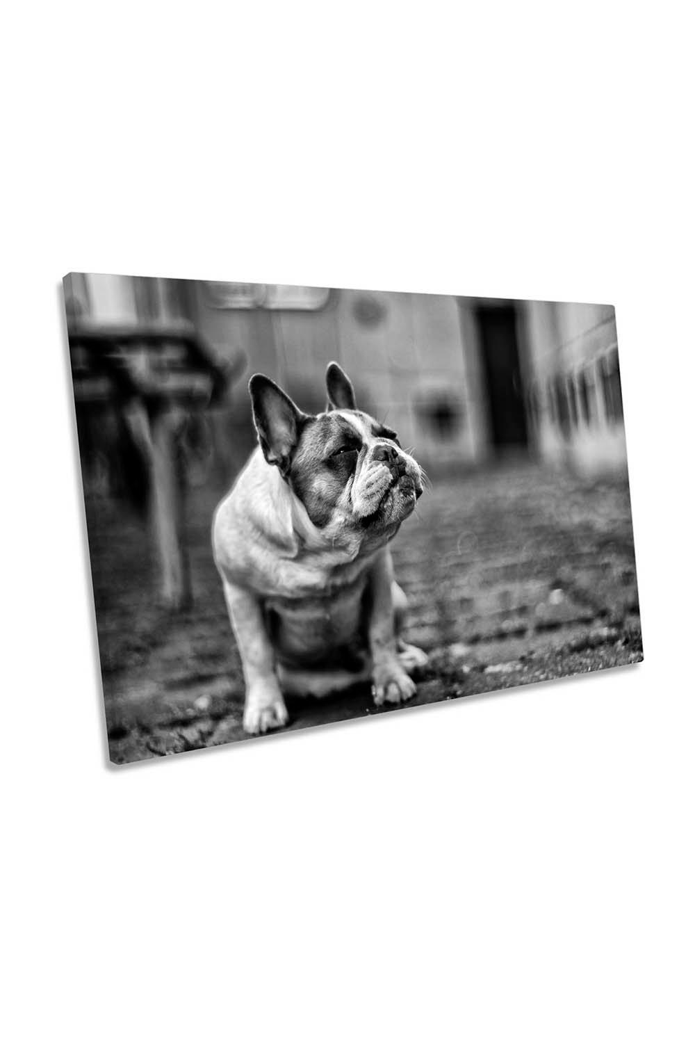 Bulldog Dog Black and White Canvas Wall Art Picture Print
