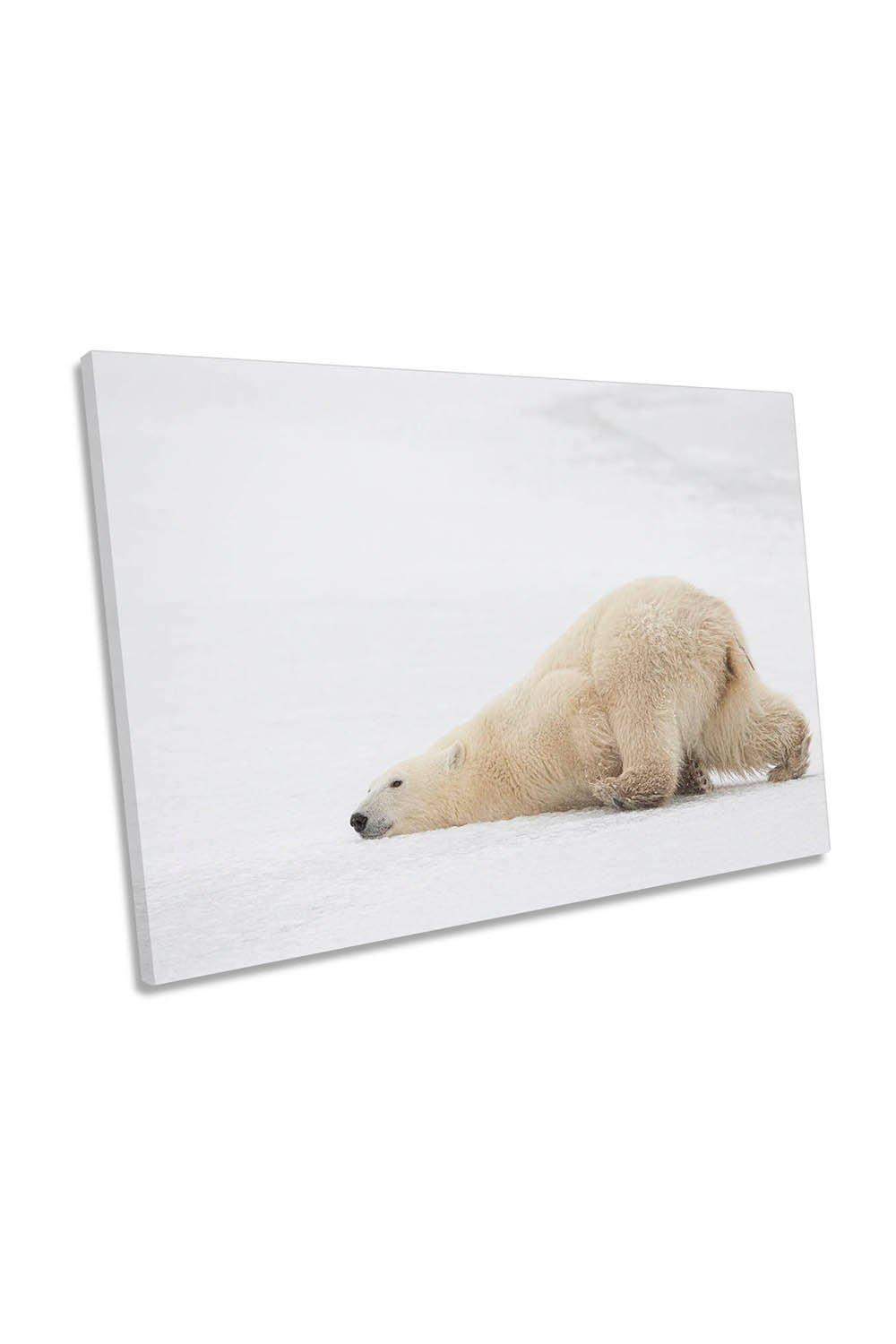 Funny Sliding Polar Bear Canvas Wall Art Picture Print