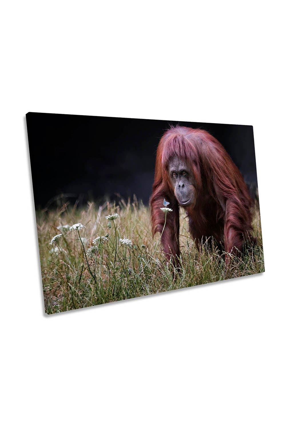 Orangutan and Butterfly Monkey Canvas Wall Art Picture Print