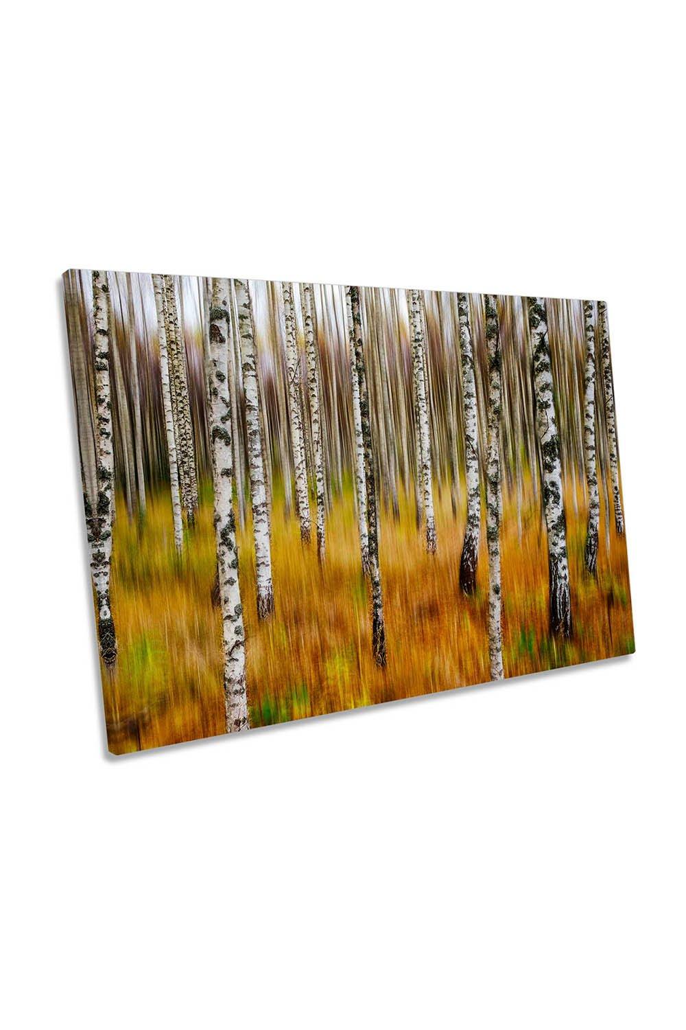 Birch Trees Abstract Landscape Forest Canvas Wall Art Picture Print