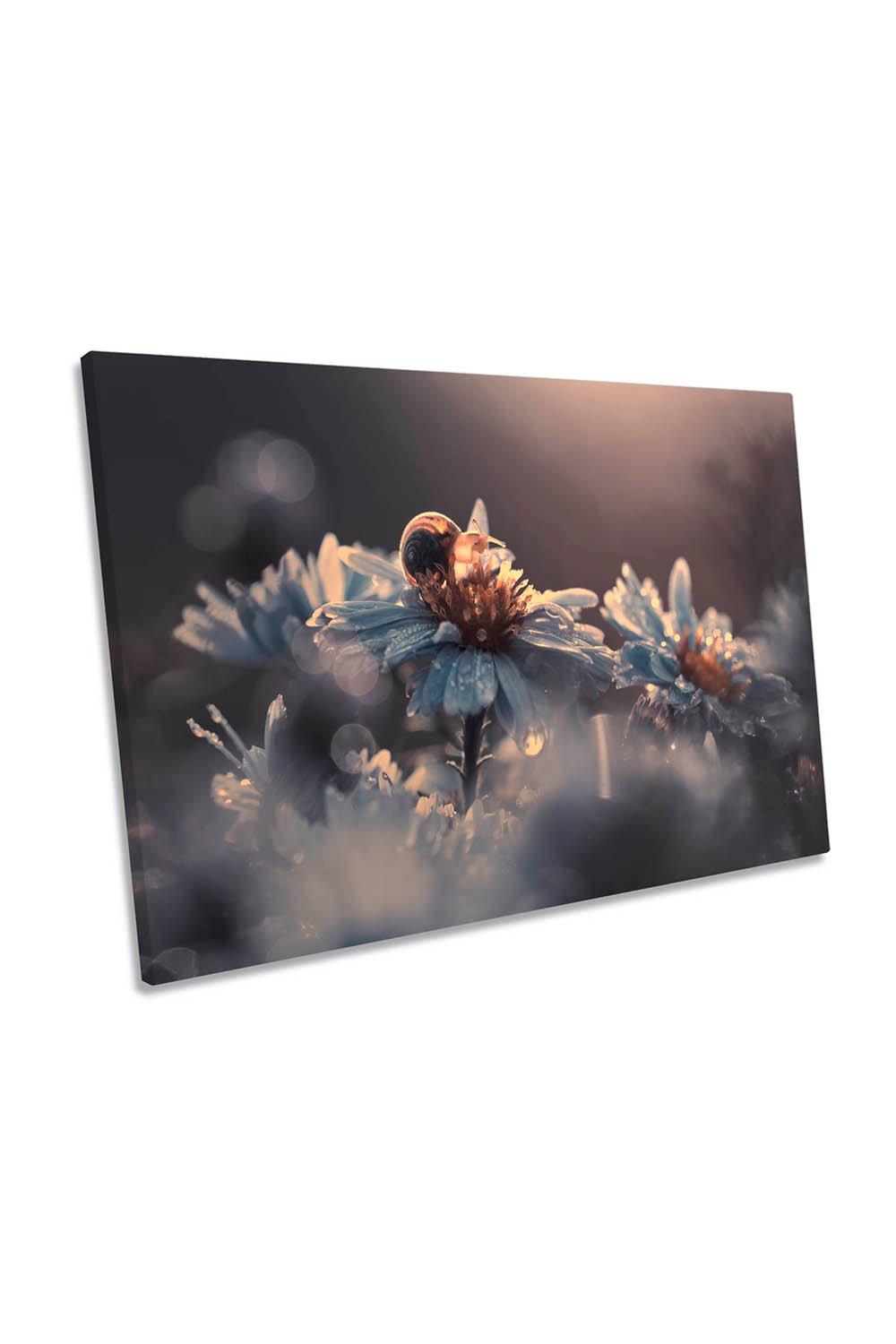 Riding Zone Floral Flowers Petal Canvas Wall Art Picture Print