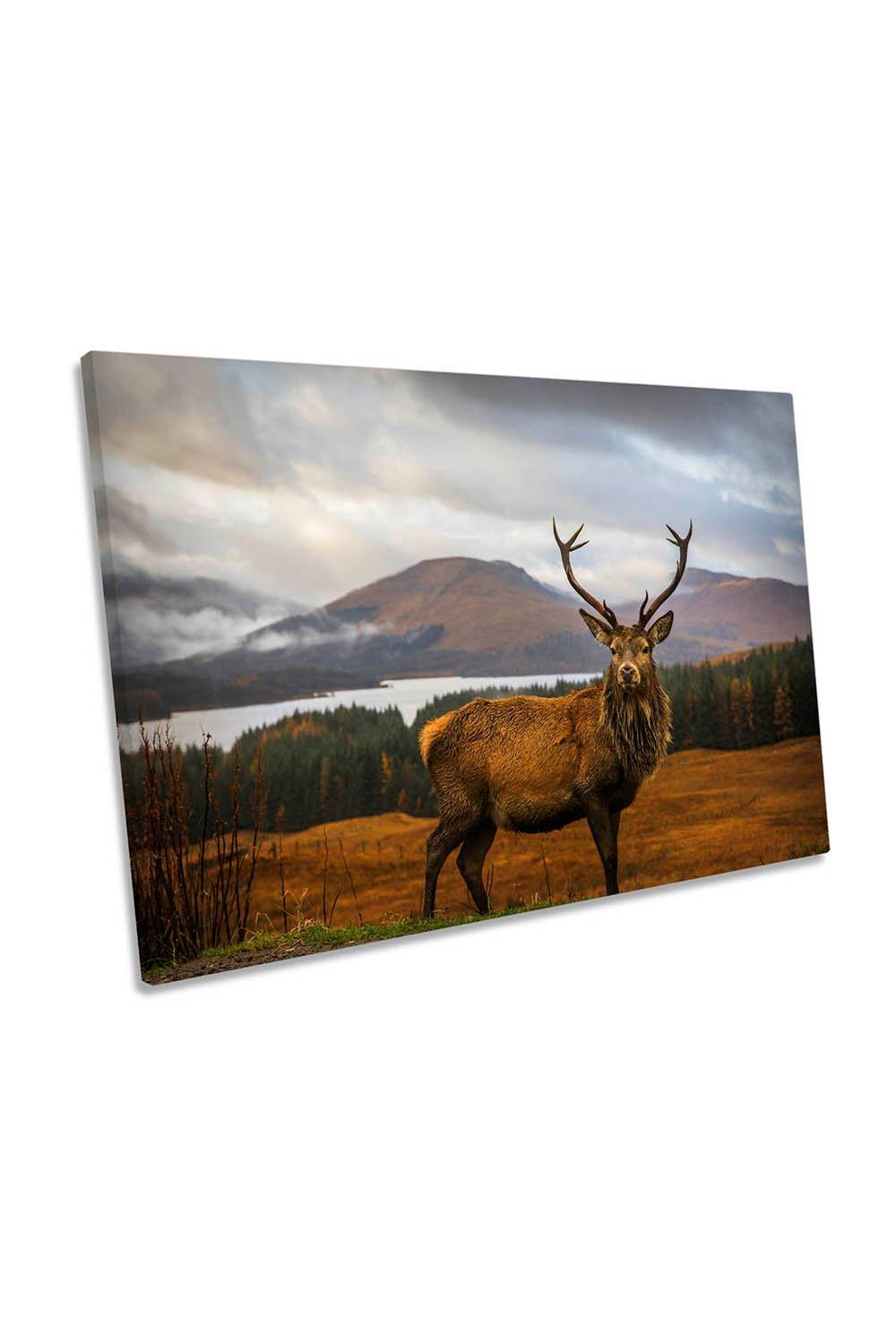 Scottish Highlands Stag Deer Antlers Canvas Wall Art Picture Print
